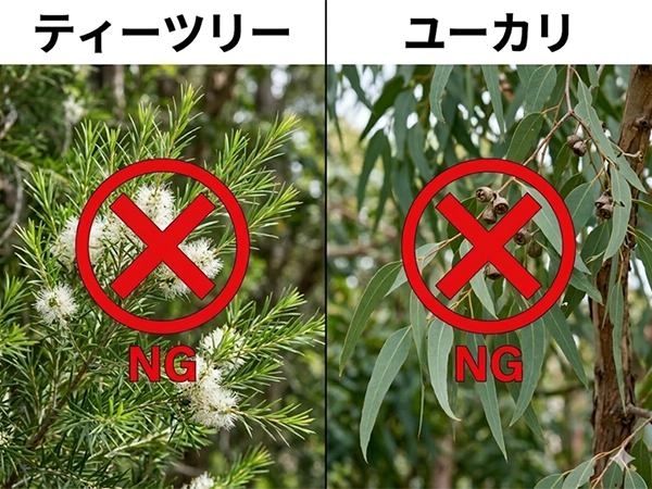 ティーツリー・ユーカリ