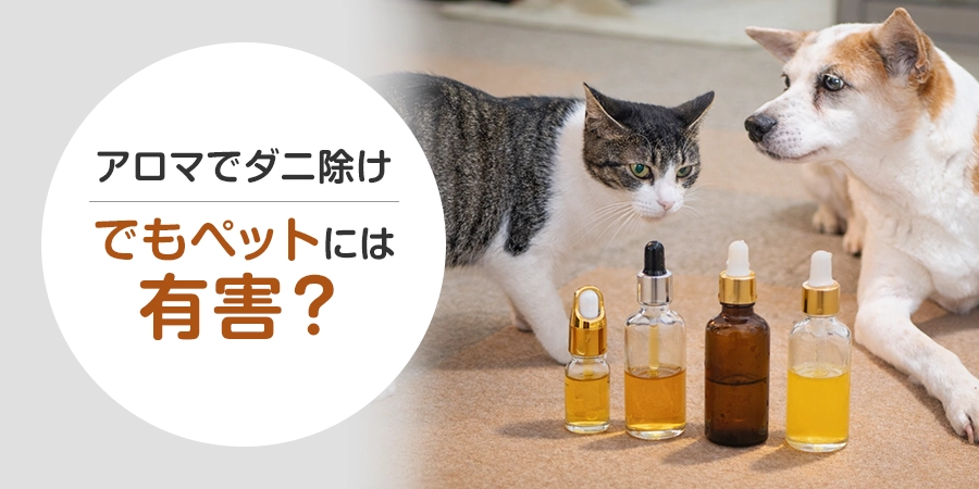 ダニ予防にアロマは効果ある？犬・猫への危険性とペットのダニ対策を解説
