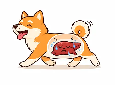 肝臓の数値異常