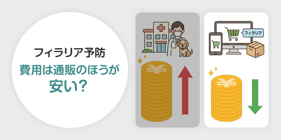 フィラリア予防の費用はいくら？病院と通販の料金比較と節約方法