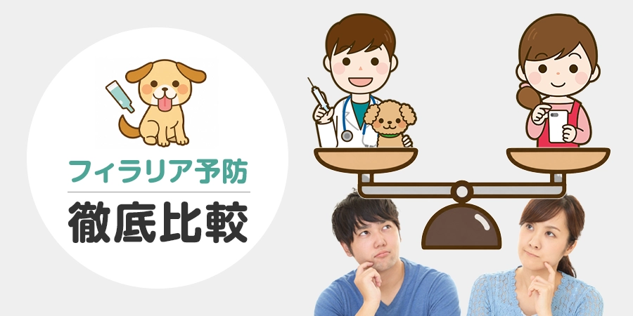 【徹底比較】フィラリア予防は「病院」と「通販」どっちが正解？メリット・デメリットと賢い使い分け