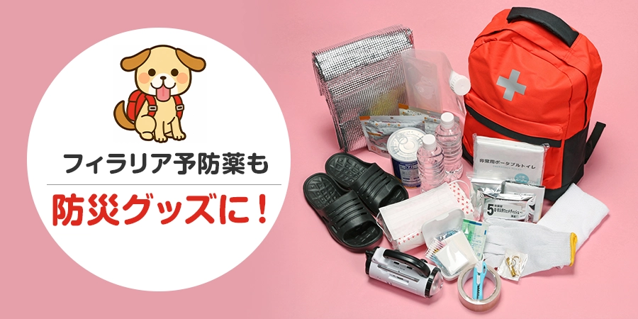 フィラリア予防薬もペットの防災グッズに！命に関わる感染を防ぐための安心の備え