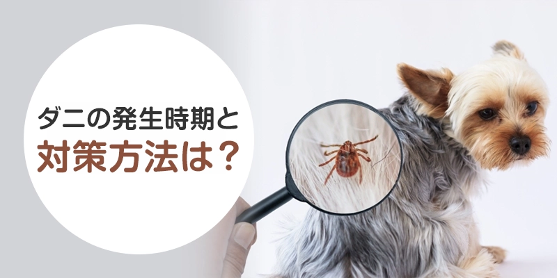マダニの発生時期はいつ？季節ごとの活動パターンとペットへの対策