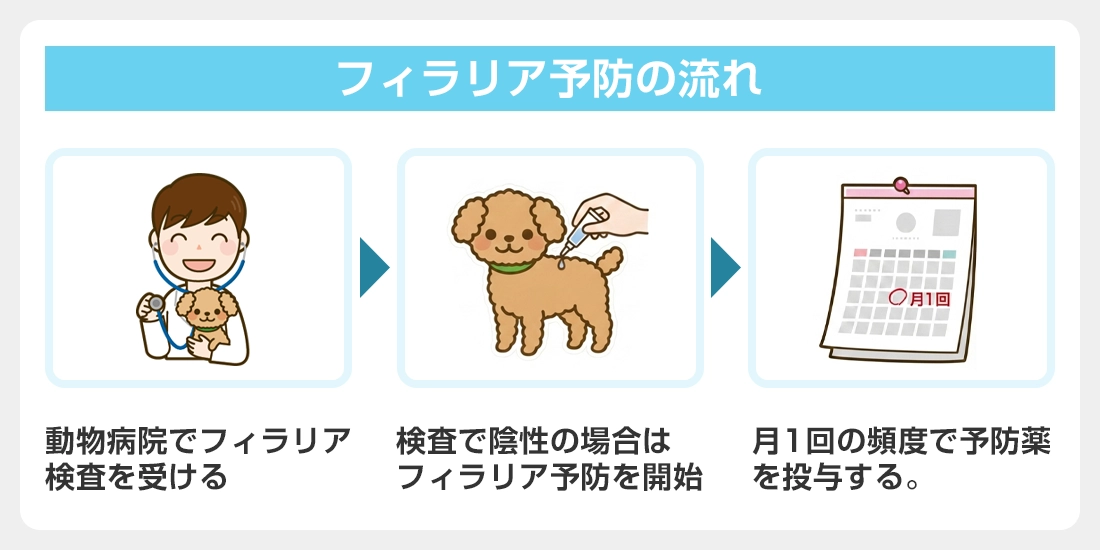 フィラリア予防薬の投与前に検査を受ける