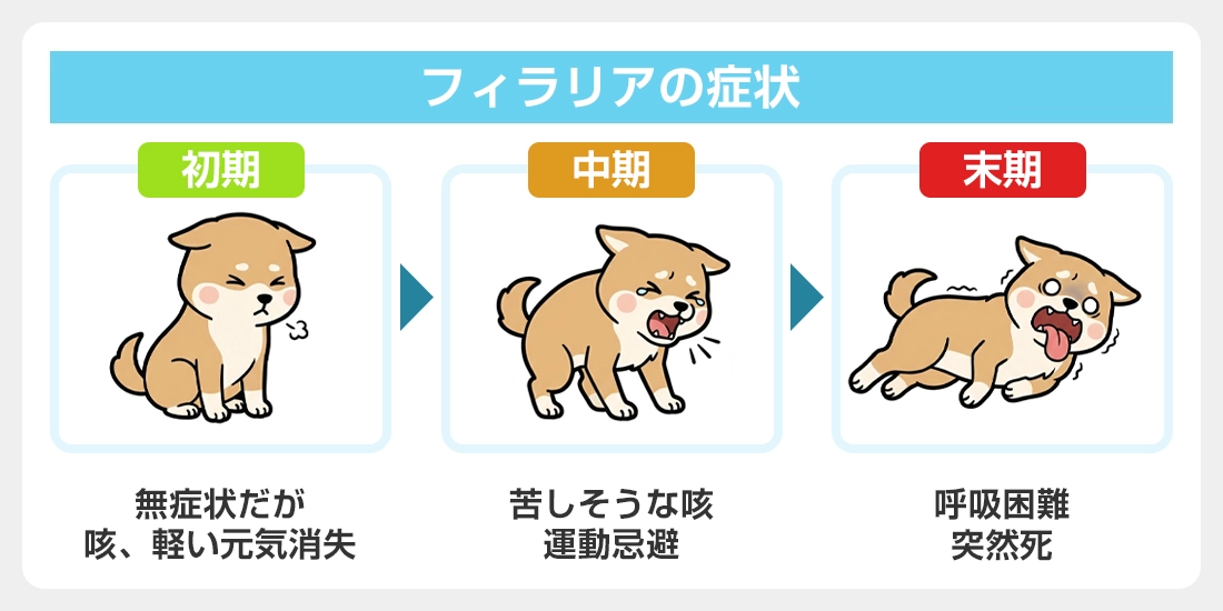 フィラリアになるとどんな症状があらわれる?