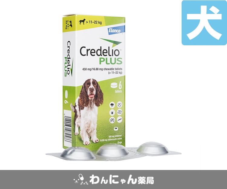 クレデリオプラス6