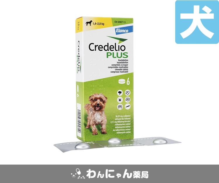 クレデリオプラス-2