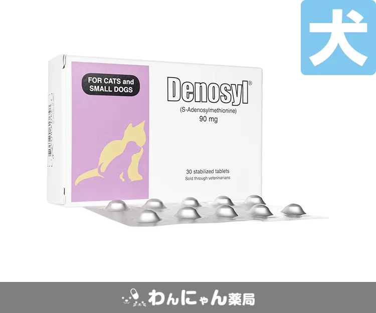 デノシル(犬用)-6