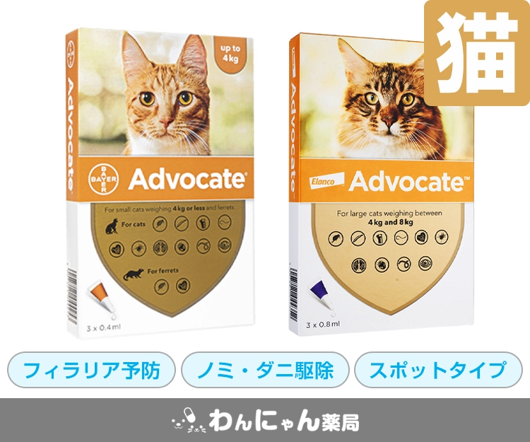 レボスポット(猫用)通販│フィラリア予防薬│わんにゃん薬局