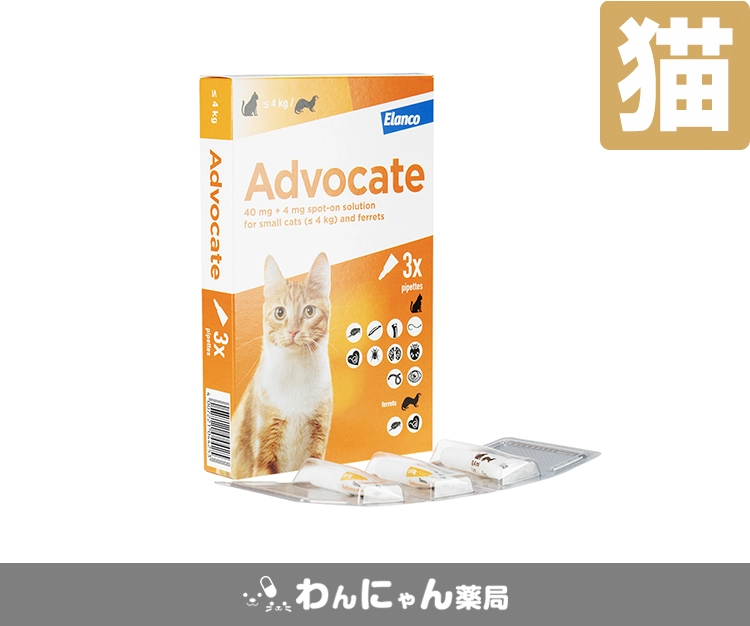 アドボケート(猫用)-4