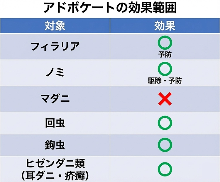 アドボケート(猫用)4