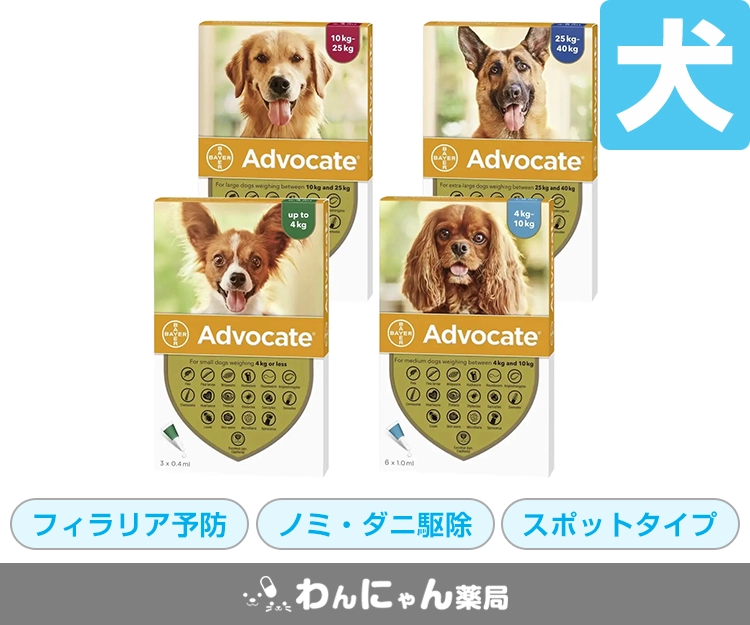 アドボケート(犬用)1