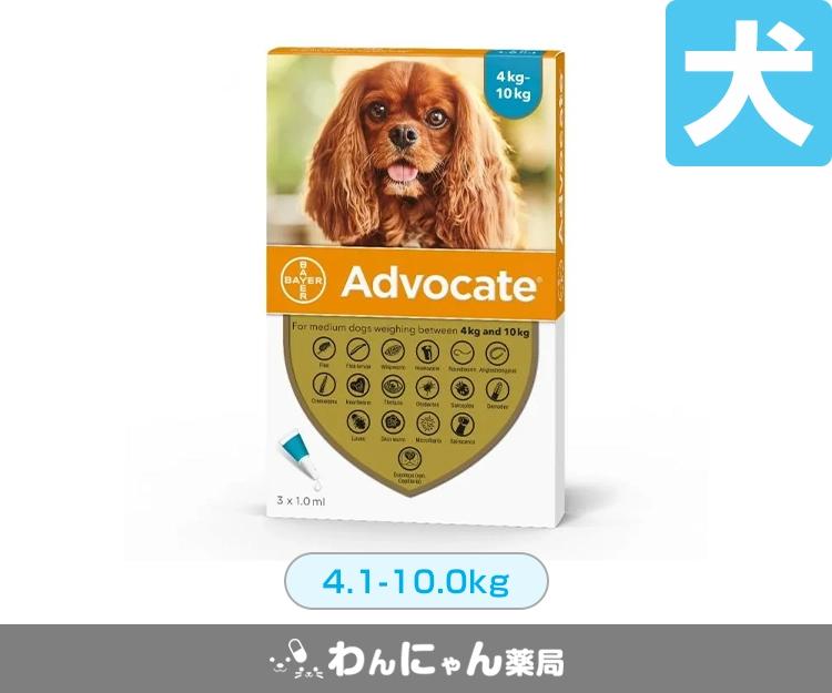 アドボケート(犬用)3