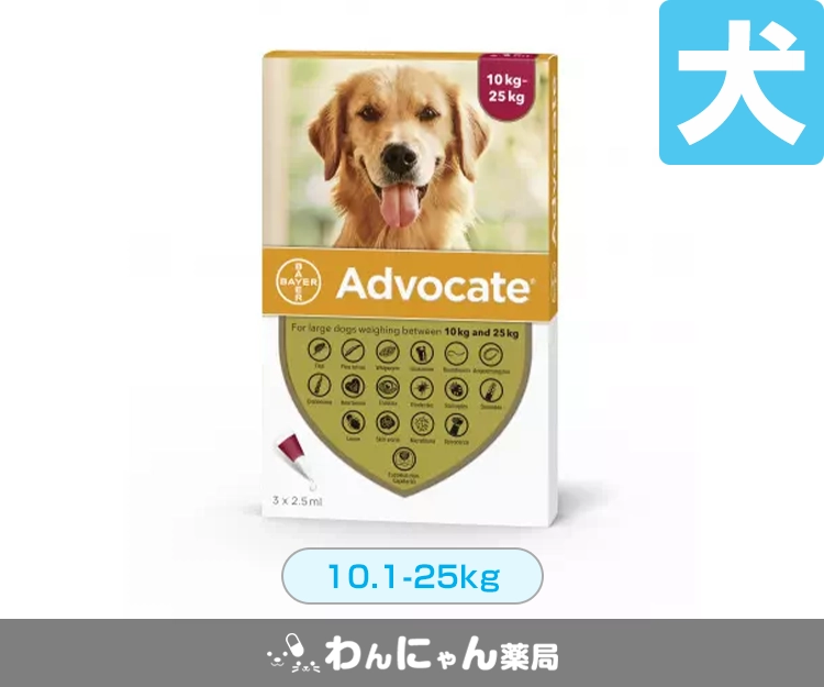 アドボケート(犬用)4