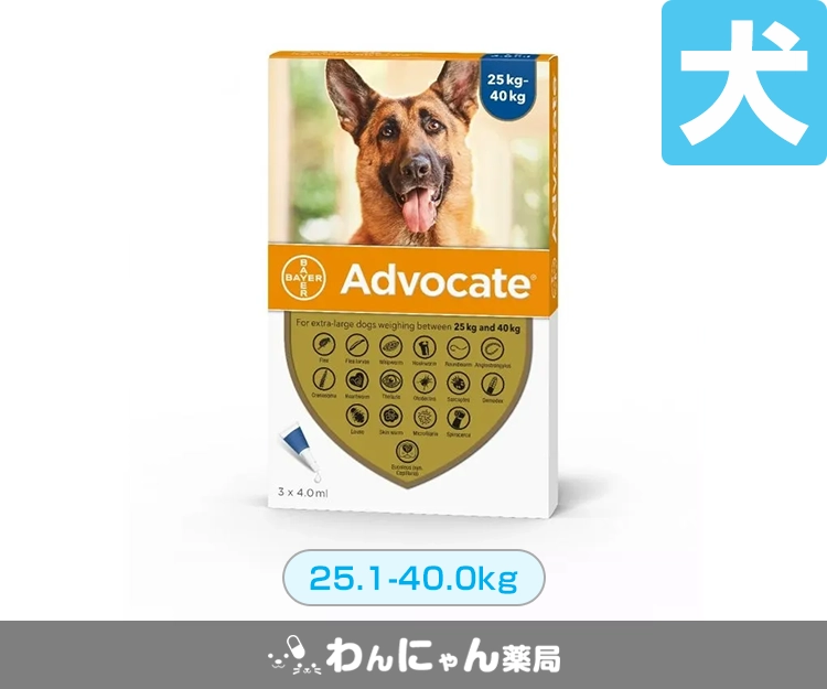アドボケート(犬用)5
