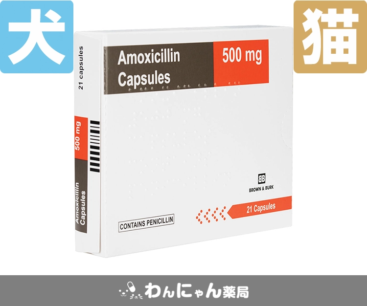 アモキシシリン5