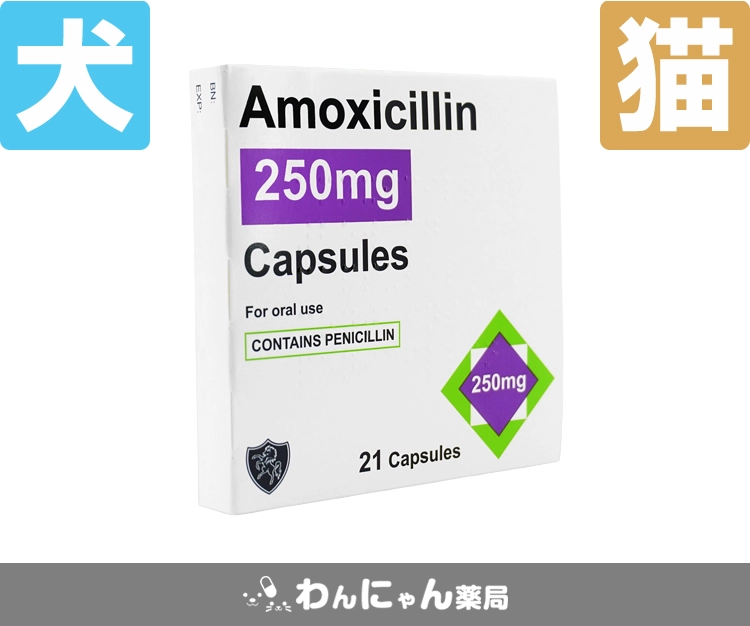 アモキシシリン6