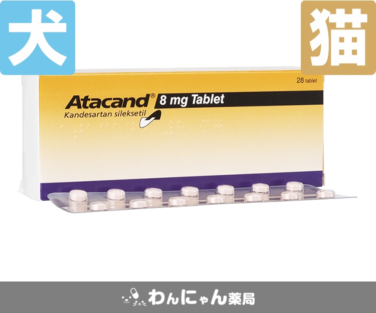 アタカンド-2