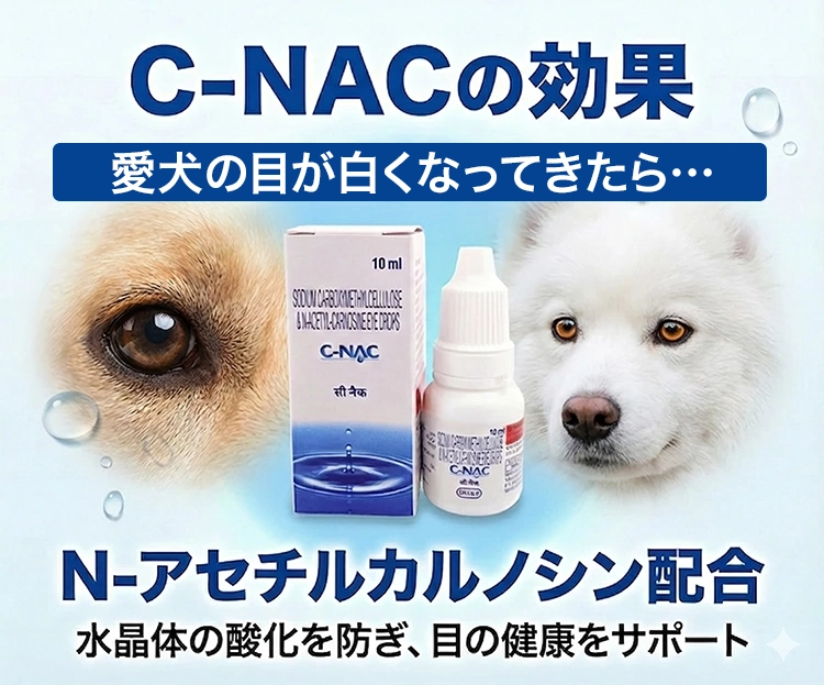 C-NAC(シーナック)4