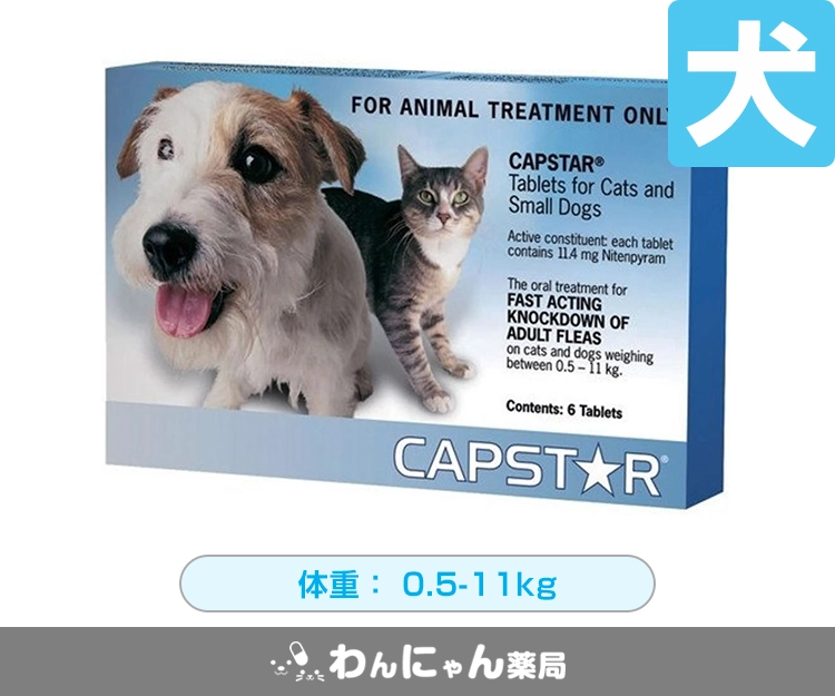 キャプスター錠(犬用)2