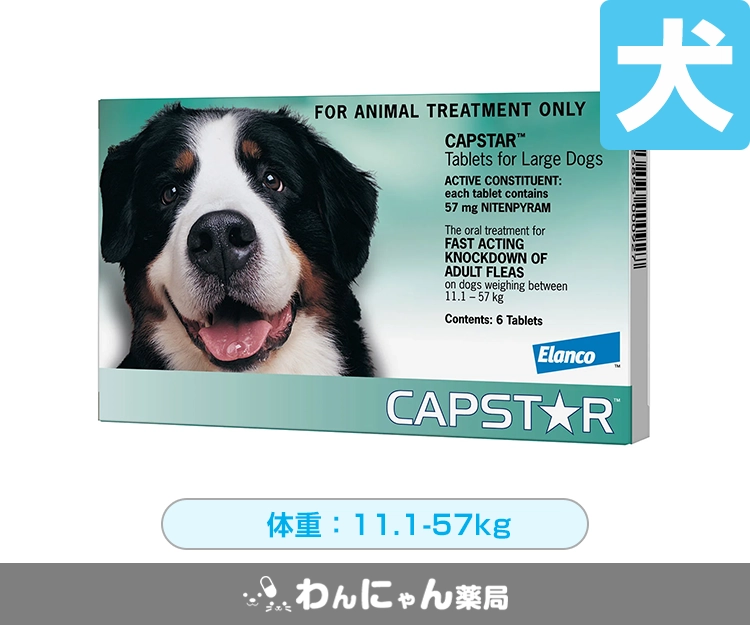 キャプスター錠(犬用)3