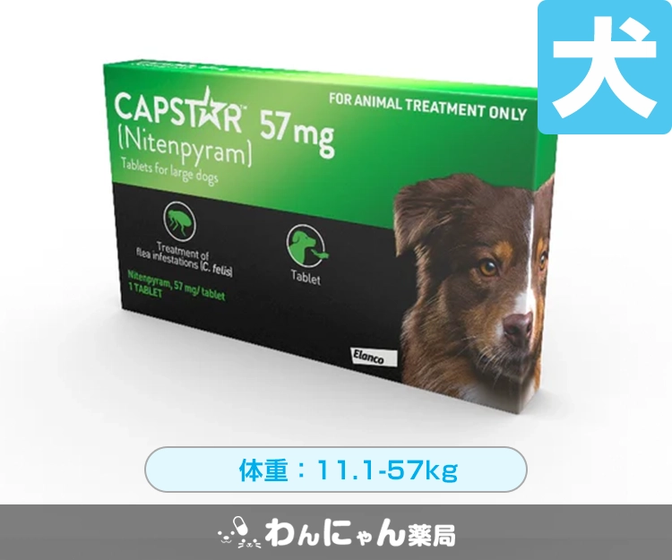 キャプスター錠(犬用)5