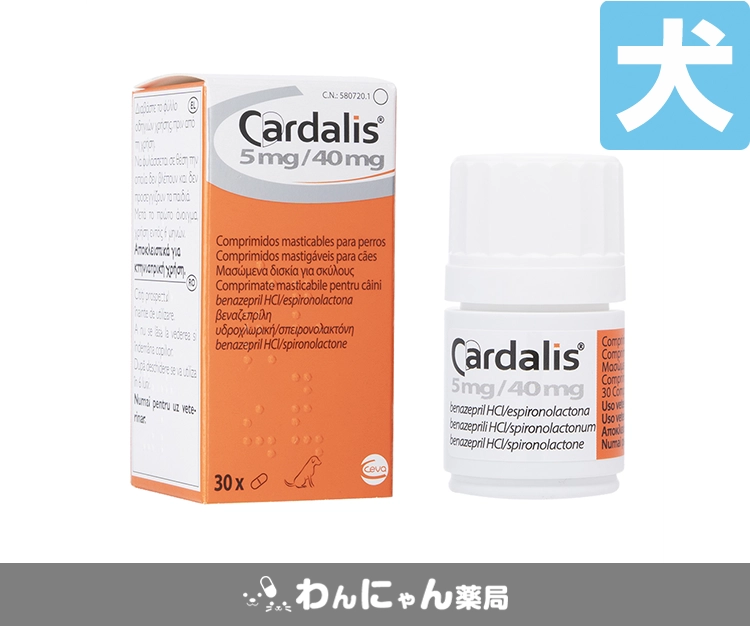 カルダリス-2