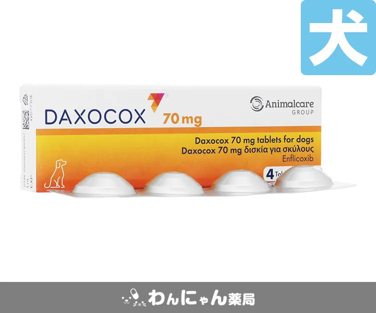 ダクサコックス-5