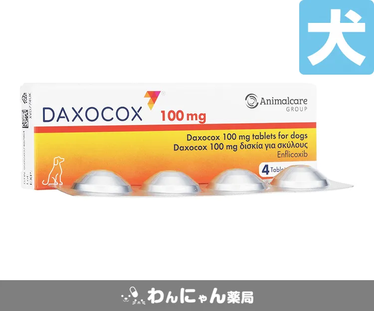 ダクサコックス-6