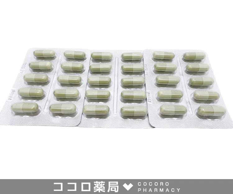 フラジール-2