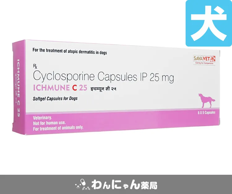 アイチュミューンC-2