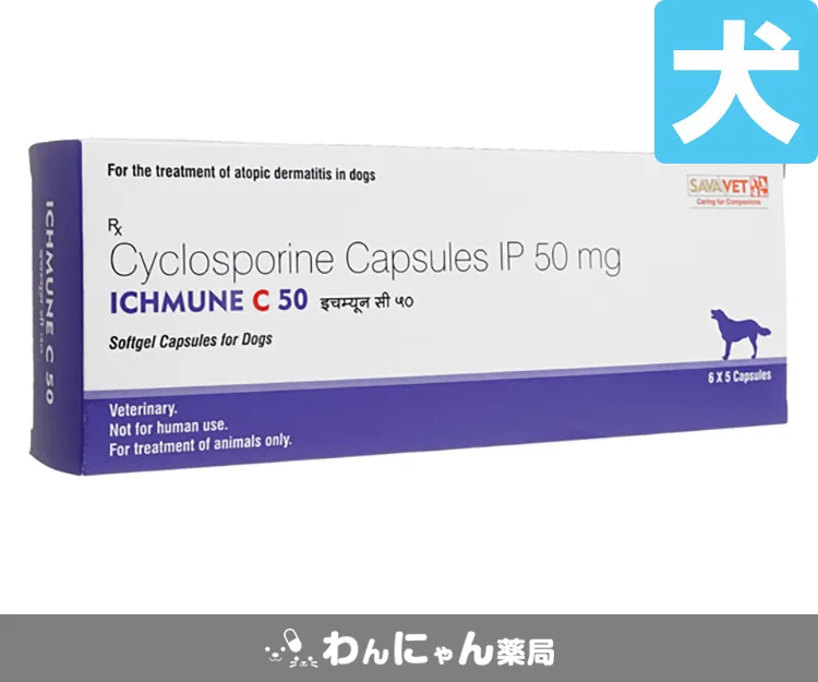 アイチュミューンC-3