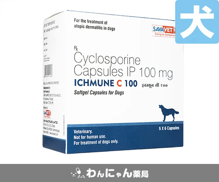 アイチュミューンC-5