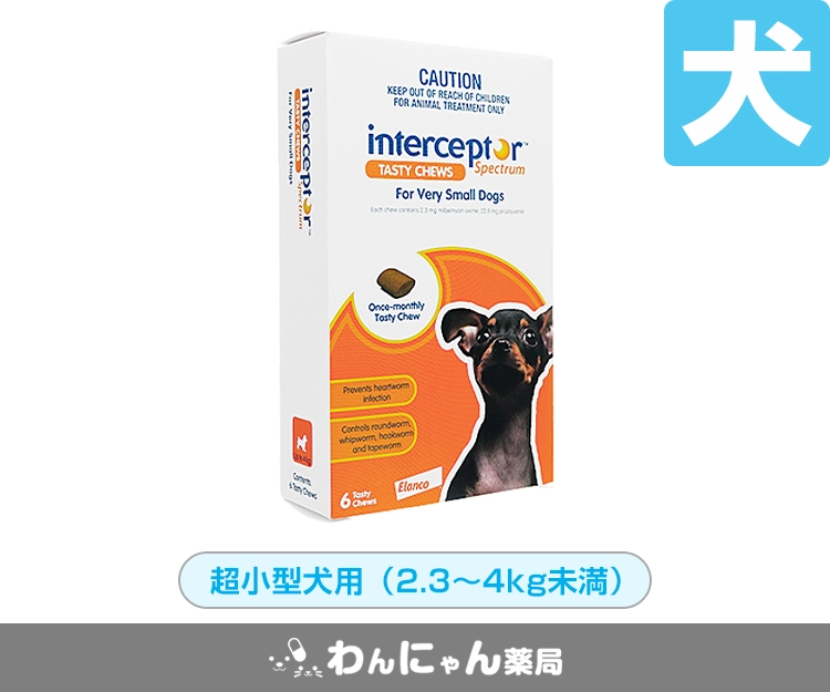 インターセプターSチュアブル2