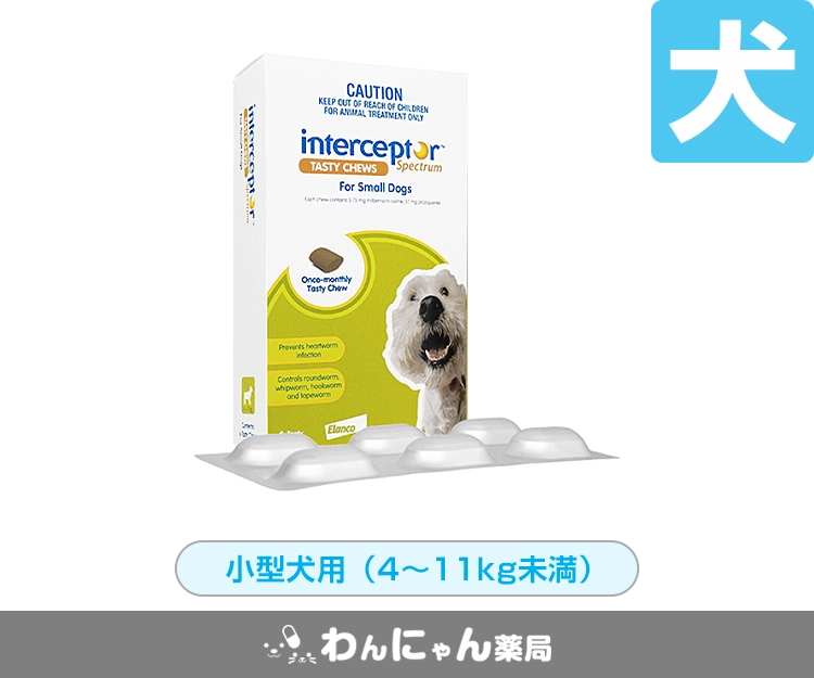 インターセプターSチュアブル3