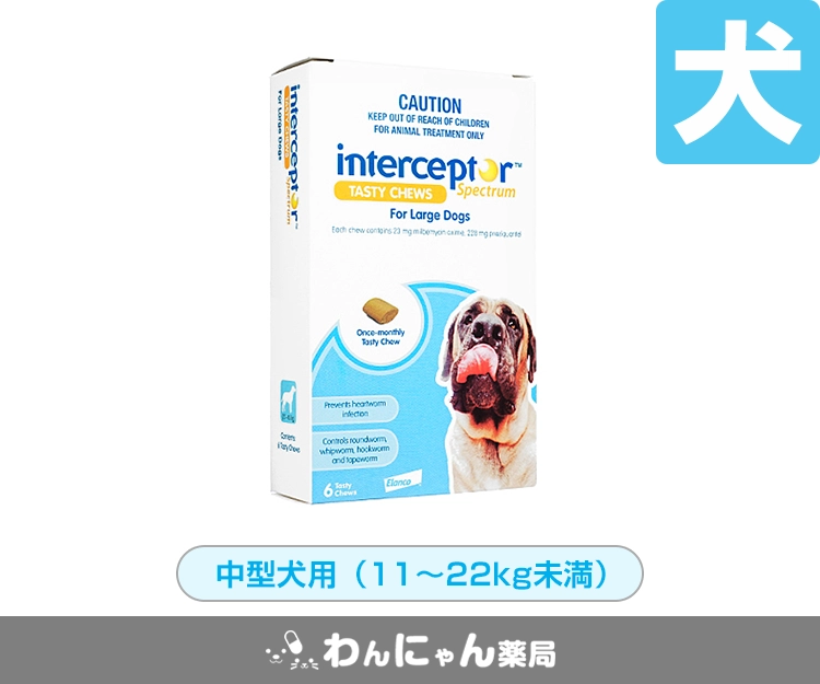 インターセプターSチュアブル4