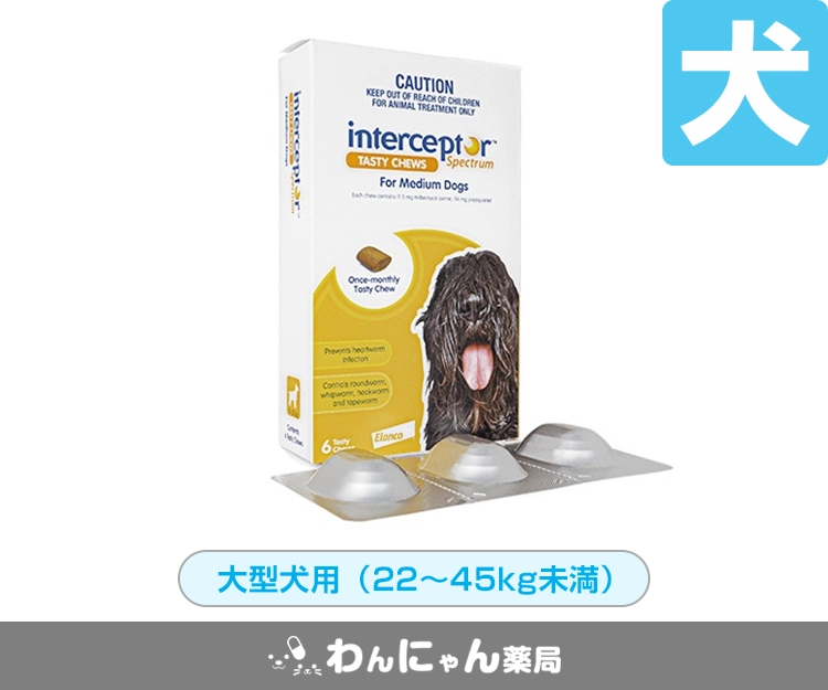 インターセプターSチュアブル5