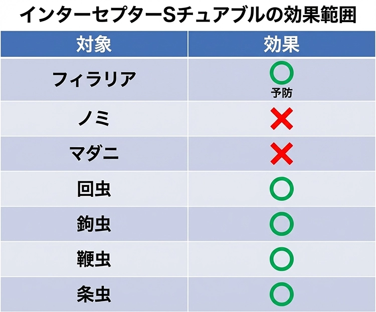 インターセプターSチュアブル6