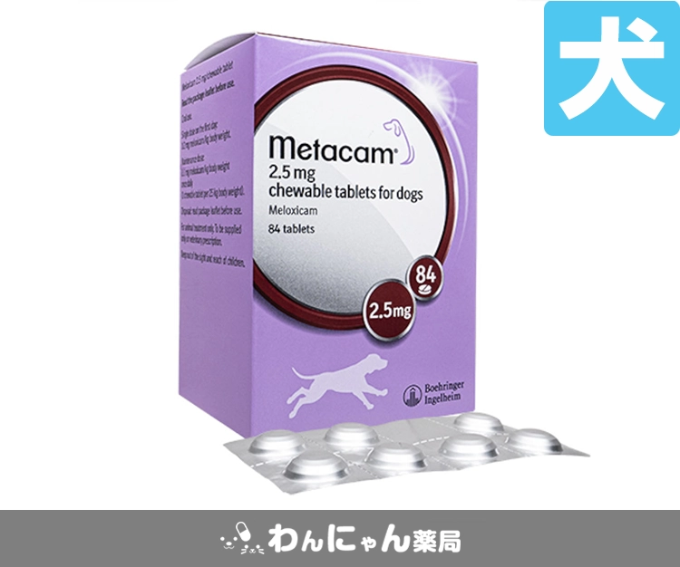 メタカムチュアブル-2