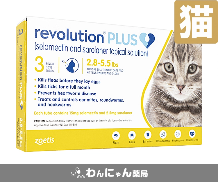 レボリューションプラス-2