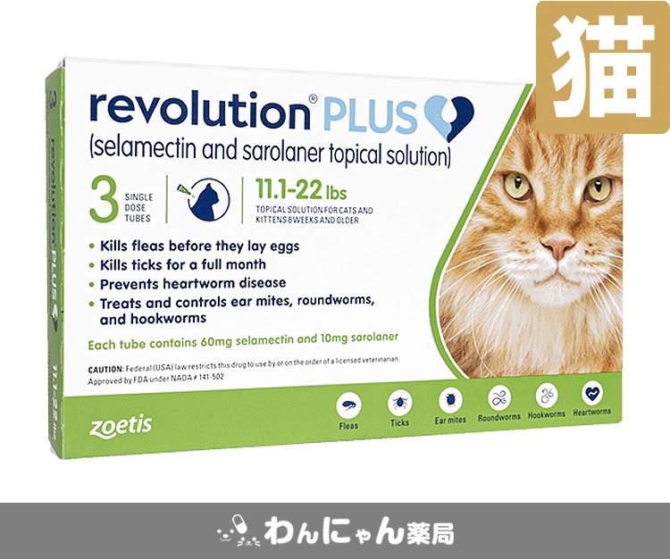 レボリューションプラス-4