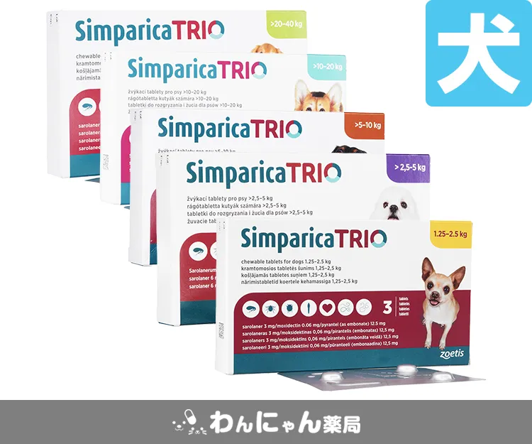 シンパリカトリオ-3