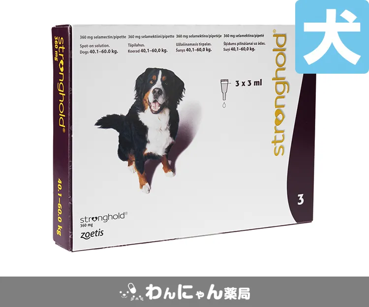 ストロングホールド(犬用)-7