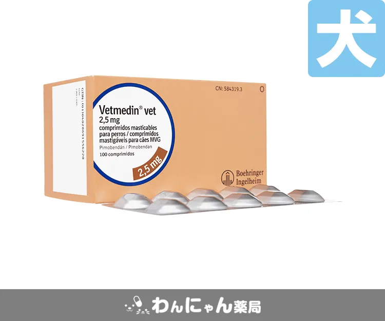 ベトメディンチュアブル6