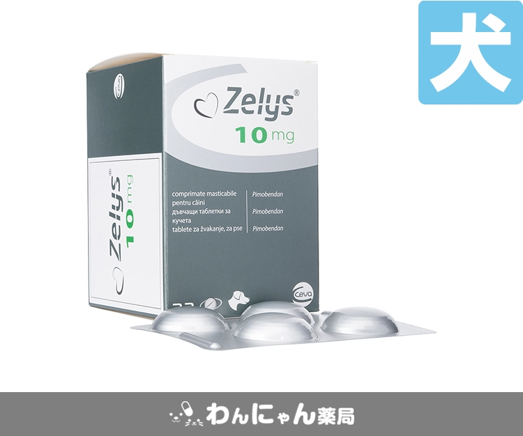 ゼリス2